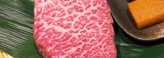 焼肉じゅんちゃん