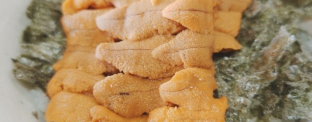 魚料理 海