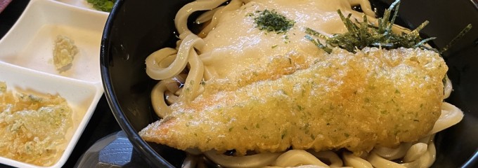 さぬきうどん⚪︎讃