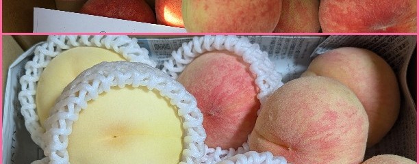 JAみのり ふれすこ社
