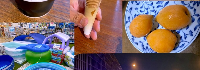 ジョイフル本田 新田店