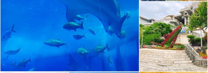 沖縄美ら海水族館