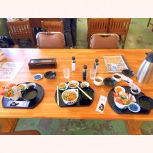 TANUKI_SHIGARAKIさんの写真
