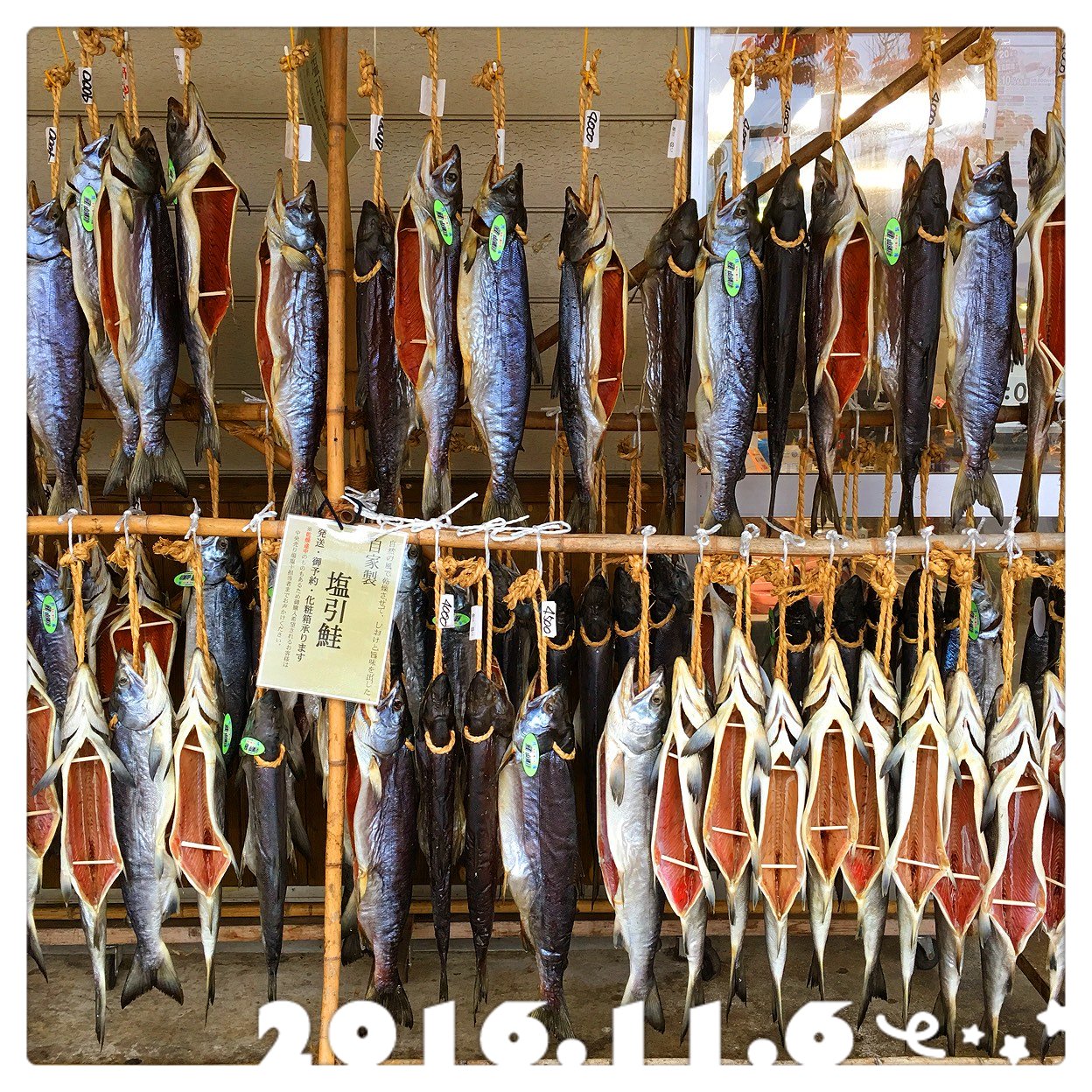 日本海鮮魚センター あらい道の駅店 (上越・妙高・糸魚川/新井(新潟))