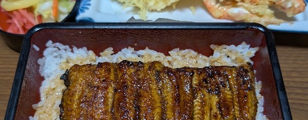 うなぎ魚庄 別館