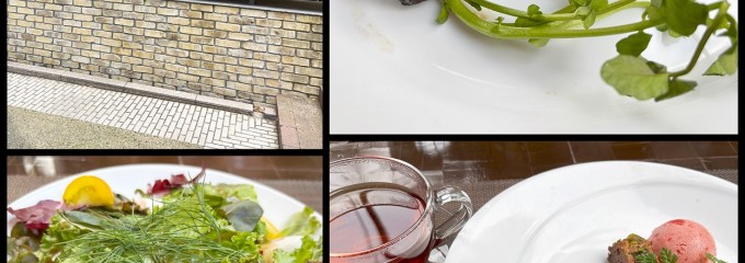 Anchor Point （アンカー ポイント）