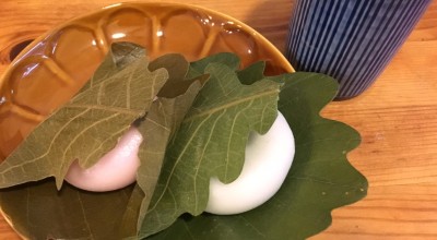 濱うさぎ 井土ヶ谷本店 旭 保土ヶ谷 南 港南区 井土ケ谷 和菓子