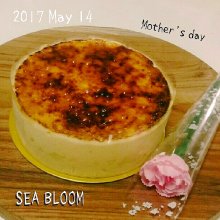 sea_bloomさんの写真