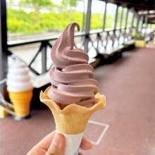 Chihayanさんの写真