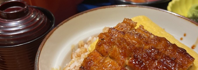 炭焼きうなぎの魚伊 天五店