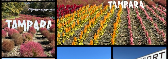 たんばらラベンダーパーク