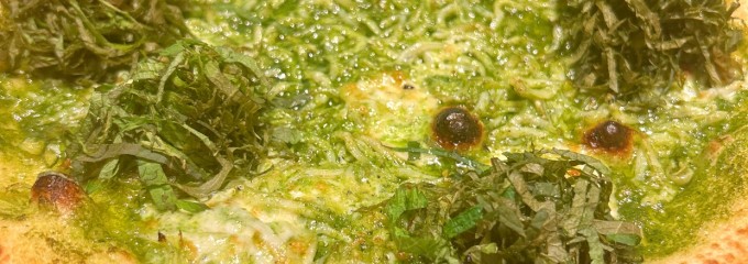 ミスターファーマー 駒沢オリンピック公園店