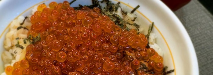 なか卯 新田辺店