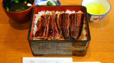 うなぎ 日本料理 名古屋なまずや 中区 東区 千種 うなぎ どじょう