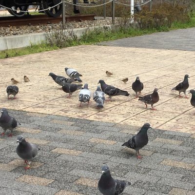 築地 銀だこ イオンモール広島府中店 たこ焼き