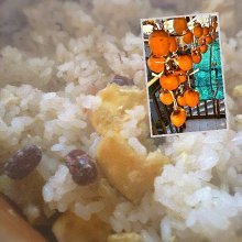 shina0612さんの写真