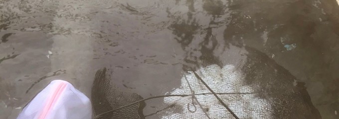 湯の峰温泉 (つぼ湯・薬湯・湯筒・公衆浴場)