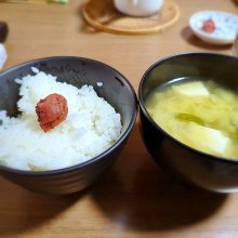 sd501さんの写真