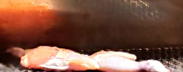 居酒屋 あけぼの 釧路店