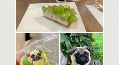 カフェコムサ 池袋東武店 池袋 高田馬場 巣鴨 池袋 ケーキ ドーナツ