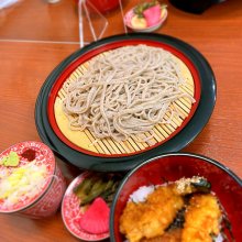 たぬ吉の写真