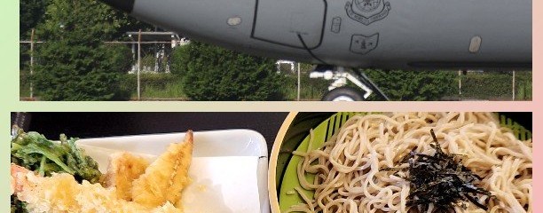 山田うどん食堂 引田店