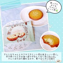 ayame1027さんの写真