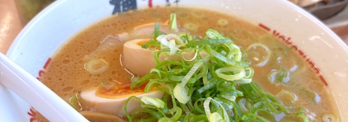 ラーメン横綱 岐阜店