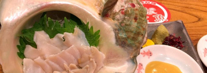 modern食堂 金魚　 本店