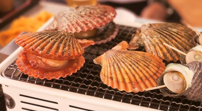 浮橋海上レストラン浮橋 浦ノ内東分 多ノ郷駅 刺身 魚介類