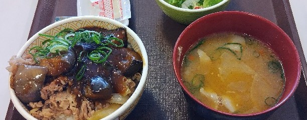 すき家 船橋習志野店