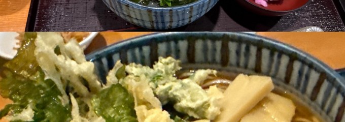 柏庵