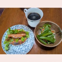 kinokodaimaouさんの写真