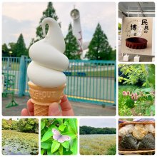 tomotsukikoさんの写真
