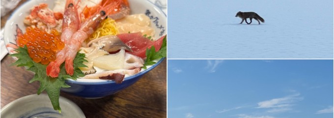 海鮮食堂 北のグルメ亭