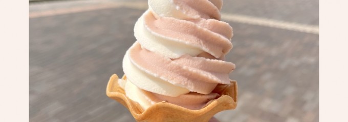 道の駅 ふじおか(ハイウェイ・オアシスららん藤岡)