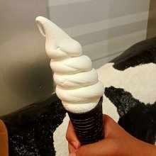 miki7Rさんの写真
