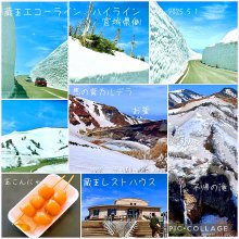 rieminnさんの写真