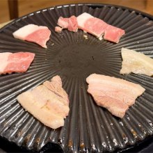 xckbさんの写真