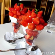 2525_nekonekoさんの写真