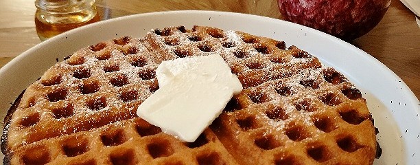 mute milkcoffee&plantbake