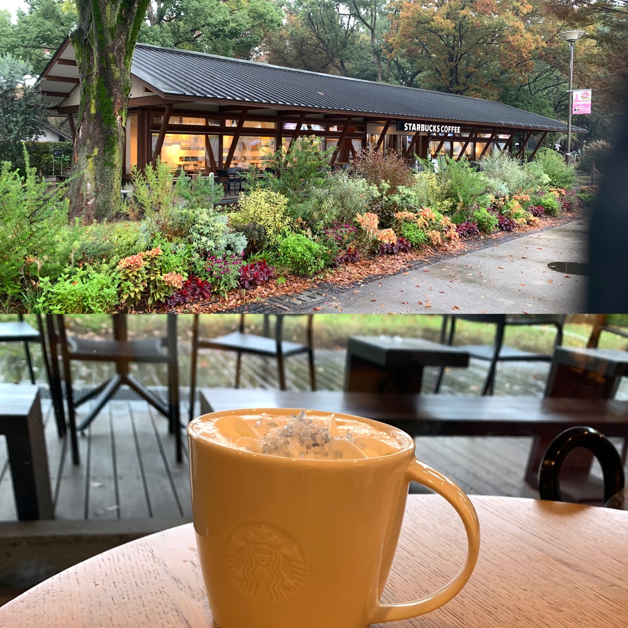 スターバックス コーヒー 上野 恩賜 公園 店