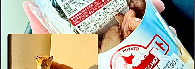 セイコーマート ウトナイ店