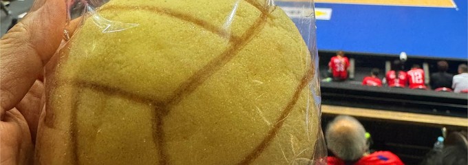 川崎市とどろきアリーナ
