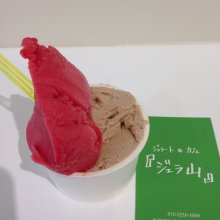 sarapineさんの写真