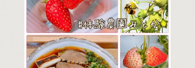 体験農園みとか