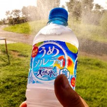 f_souさんの写真