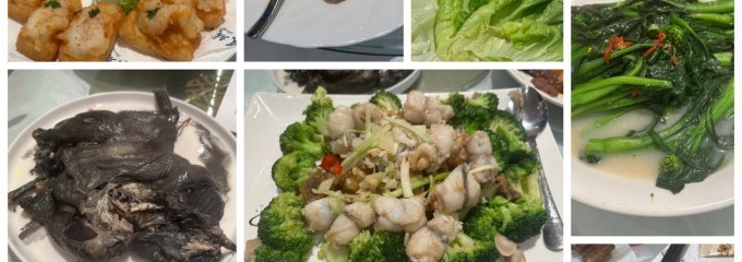 Fung Shing Restaurant (鳳城酒家)