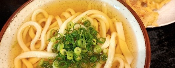 大島うどん