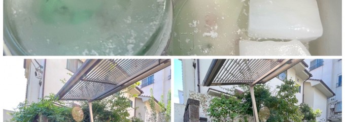 サーティワンアイスクリーム 石神井公園北口店